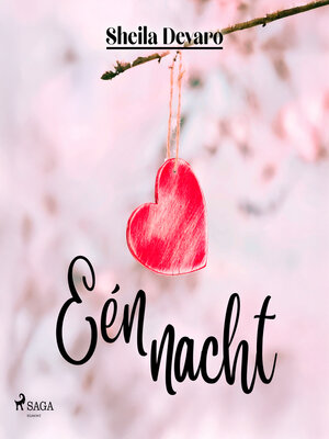 cover image of Eén nacht